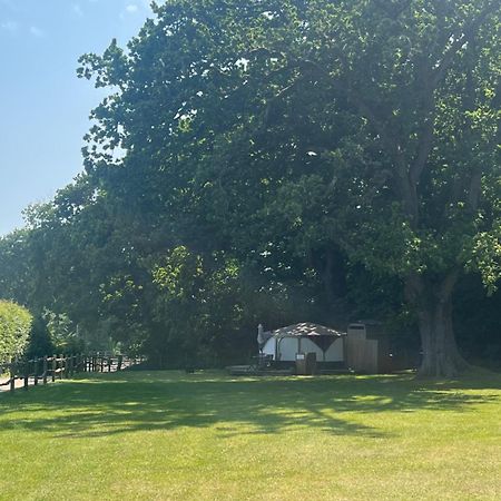 Old Dairy Farm Glamping Hotel Emsworth Buitenkant foto